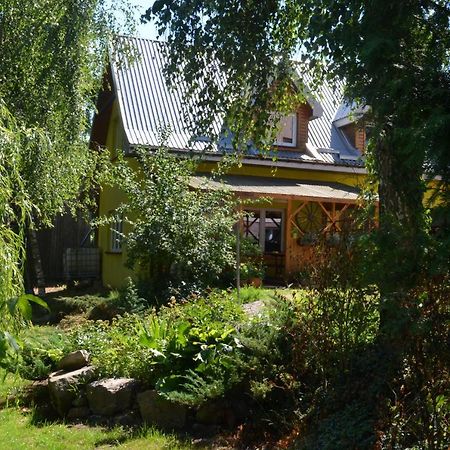 Villa Agrowczasy U Mirusi à Wizajny Extérieur photo